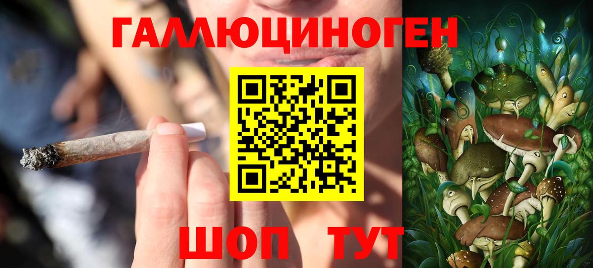 Камышлов  Псилоцибиновые грибы прущие грибы  дарнет шоп  Вход с VPN 